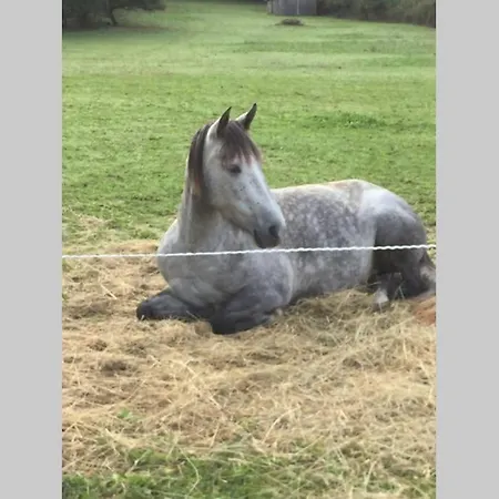 Hippo-gite Biron (Dordogne)