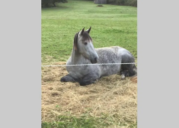 Hippo-gite Biron (Dordogne)