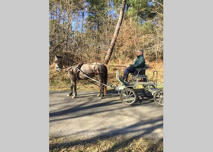 Dom wakacyjny Hippo-gite