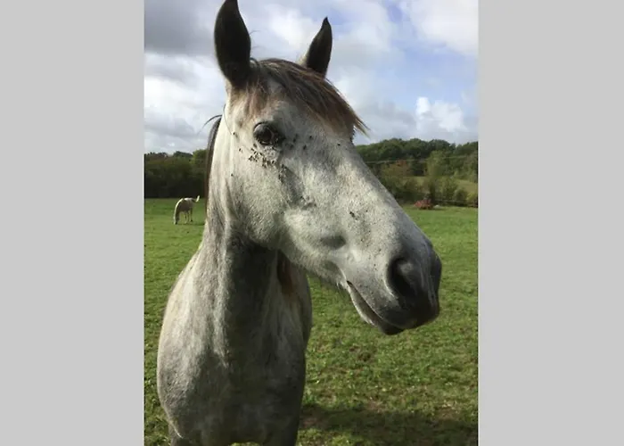 Hippo-gite Dom wakacyjny *